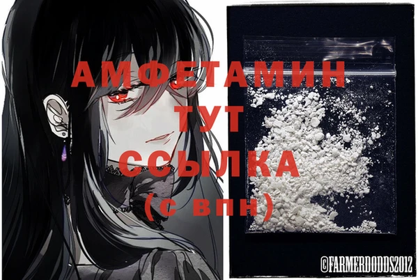 стаф Алексеевка