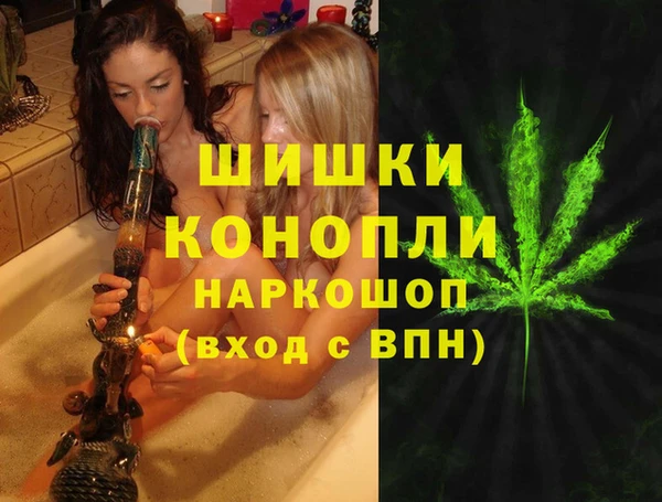 шишки Абдулино